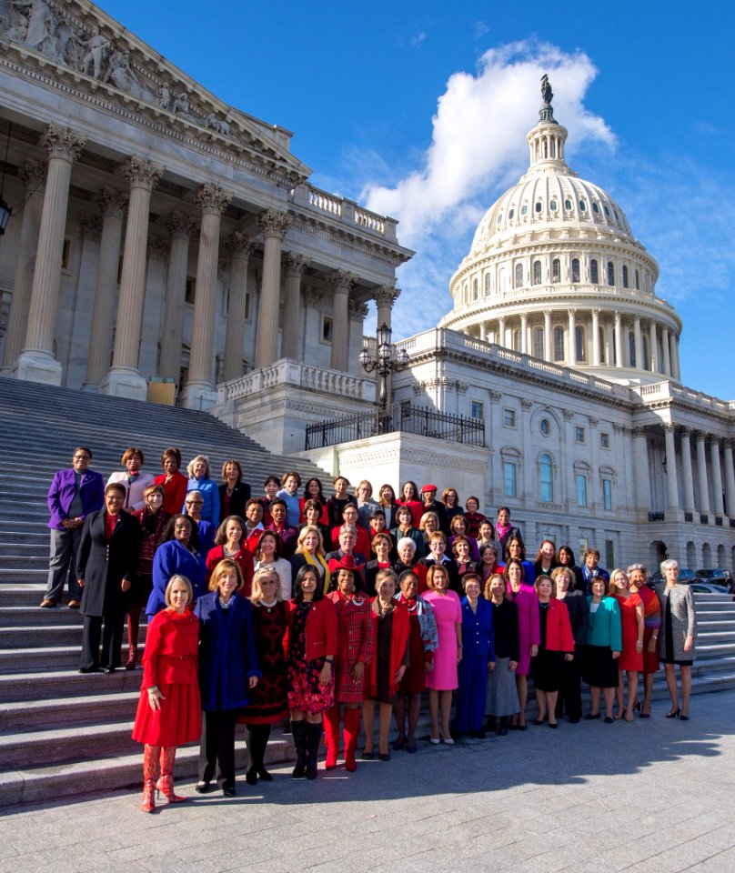 The House Democratic women of the 115th Congress