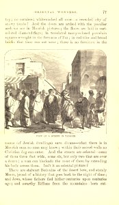 The Innocents Abroad, p. 077