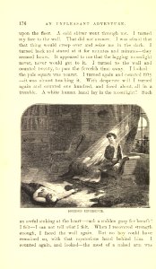 The Innocents Abroad, p. 176