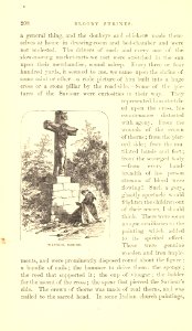 The Innocents Abroad, p. 208