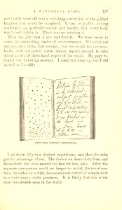 The Innocents Abroad, p. 197