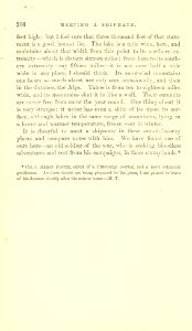 The Innocents Abroad, p. 206