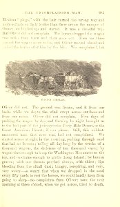 The Innocents Abroad, p. 285