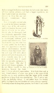 The Innocents Abroad, p. 239