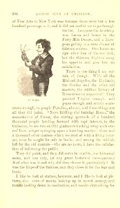 The Innocents Abroad, p. 304