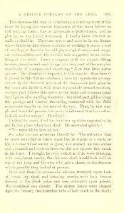 The Innocents Abroad, p. 301