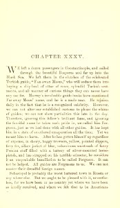 The Innocents Abroad, p. 381