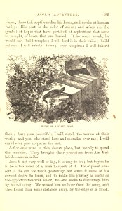 The Innocents Abroad, p. 489