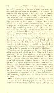 The Innocents Abroad, p. 372