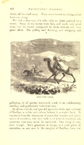 The Innocents Abroad, p. 446