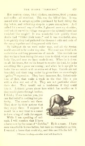 The Innocents Abroad, p. 439