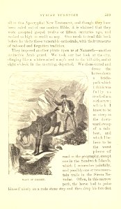 The Innocents Abroad, p. 539