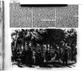 The Jews' Walk, City of Odessa, Russia (Jews promenading along wooded lane) LCCN99614045