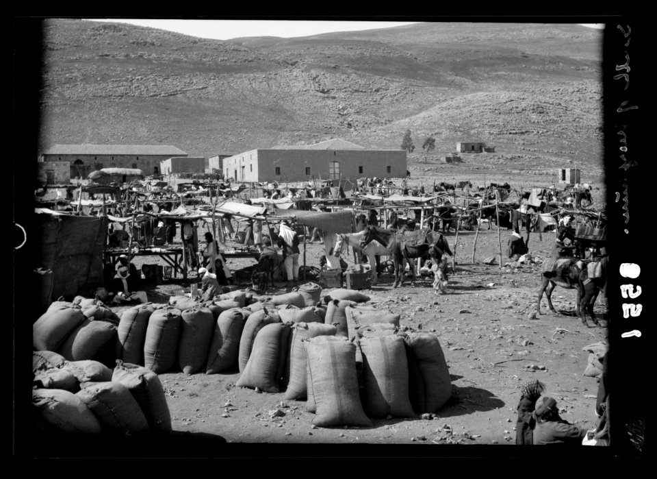 The Jordan Valley north of Lake Galilee. Weekly market LOC matpc.15401