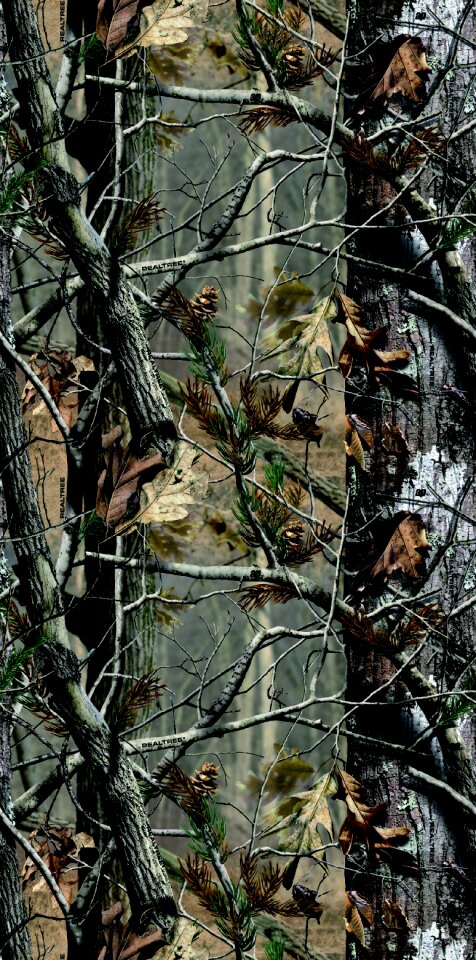 Camouflaged leaves dry