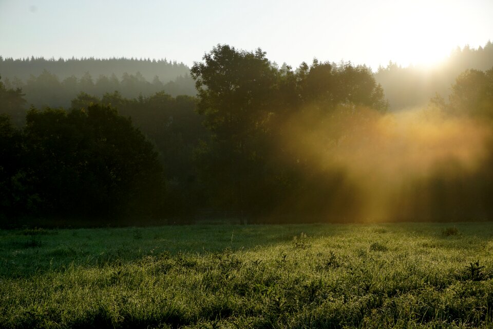 Landscape nature fog