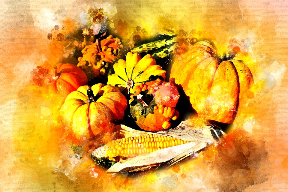 Harvest still life nature