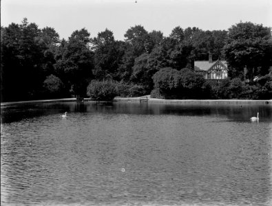 The Lake, Brynmill Park, Swansea (4785899)
