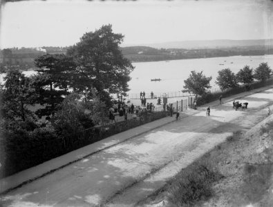 The Lake, Cardiff (4641523)