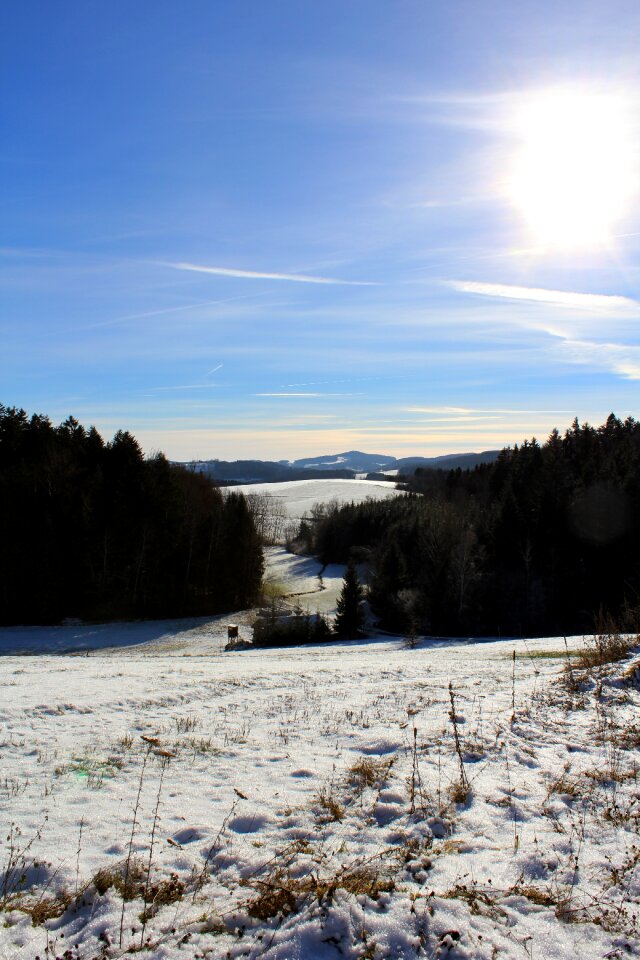 Niederbayern bavaria nature