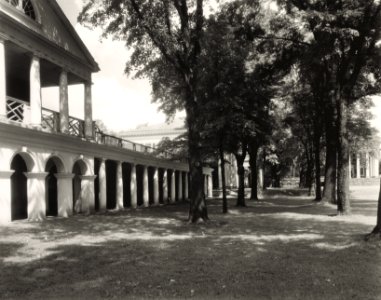 The Lawn University of Virginia Charlottesville by Frances Benjamin Johnston