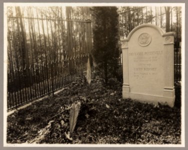 The late Theodore Roosevelt tomb LCCN2013651226