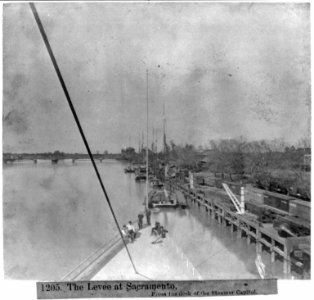 The Levee at Sacramento, from the deck of the steamer CAPITOL LCCN2002722021