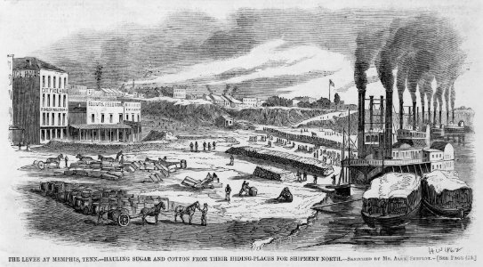 The levee at Memphis, Tenn.-Hauling sugar and cotton from their hiding-places for shipment north - sketched by Mr. Alex Simplot. LCCN95504268