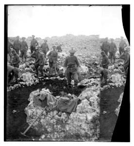 The Lieutenant who beat off main Turkish attack at Tell el Ful. Night of 26-27th Dec., 1917 LOC matpc.08128