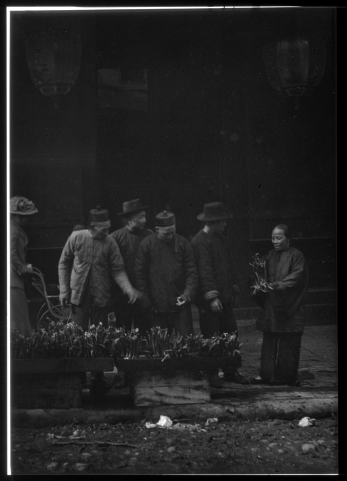 The lily vendor, Chinatown, San Francisco LOC agc.7a55079