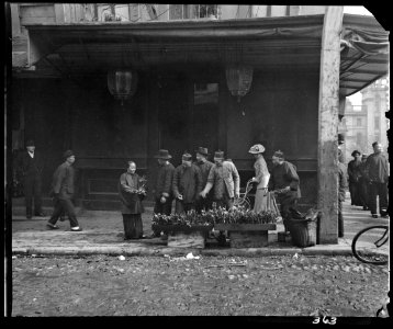 The lily vendor, Chinatown, San Francisco LOC agc.7a09056