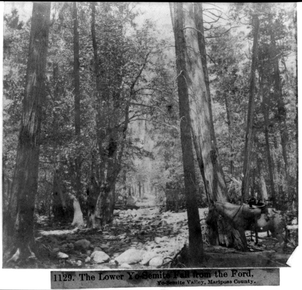The Lower Yosemite Fall from the Ford - Yosemite Valley, Mariposa County LCCN2002717165