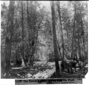 The Lower Yosemite Fall from the Ford - Yosemite Valley, Mariposa County LCCN2002717165