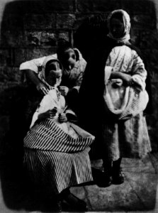 The Letter by Robert Adamson