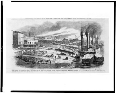 The levee at Memphis, Tenn.-Hauling sugar and cotton from their hiding-places for shipment north - sketched by Mr. Alex Simplot. LCCN95504268