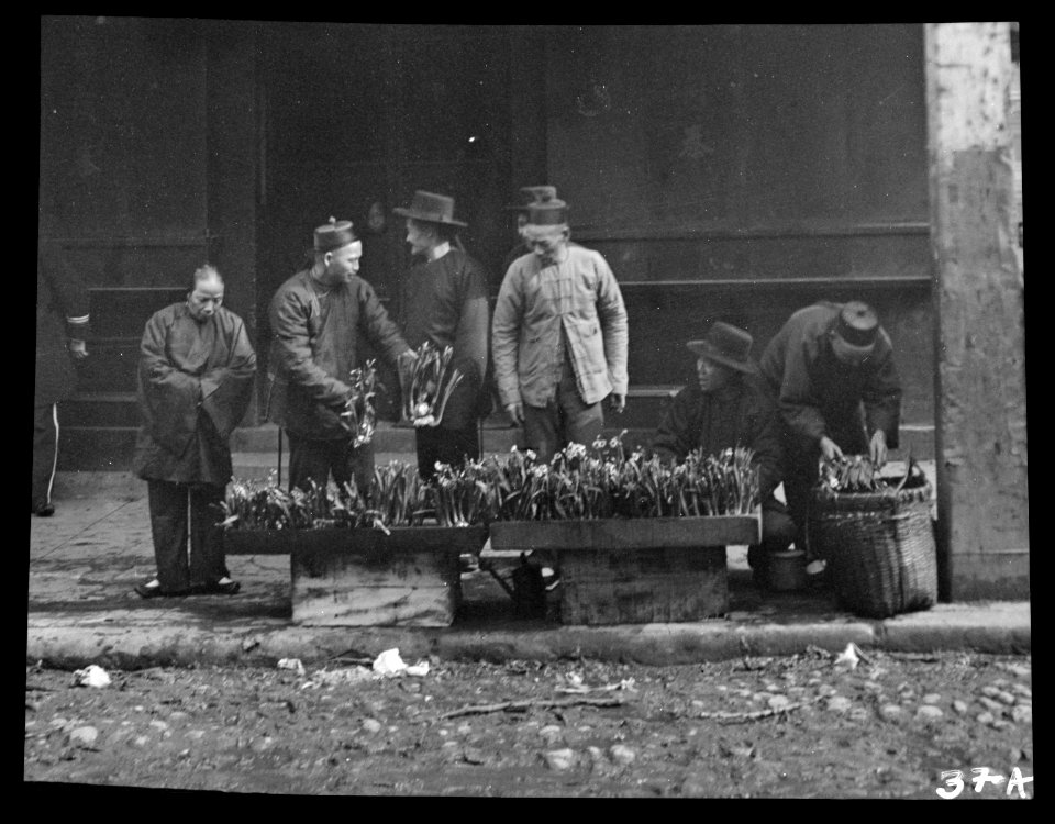 The lily vendor, Chinatown, San Francisco LOC agc.7a08979