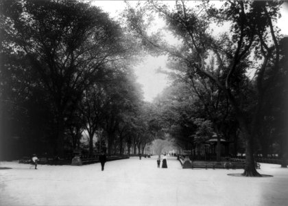 The Mall, Central Park, New York City LCCN96512480