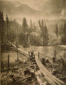 The Loggers' Bridge Suspended Over the Skykomish 1910