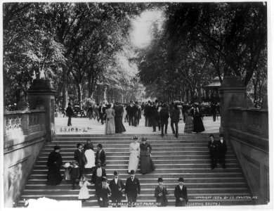 The Mall, Central Park, N.Y. (looking south) LCCN2004672305