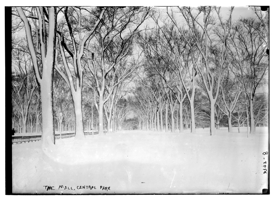 The Mall, Central Park LCCN2014689999
