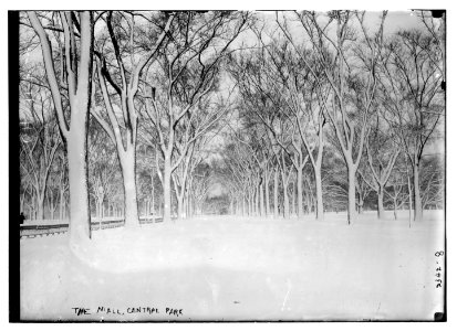 The Mall, Central Park LCCN2014689999