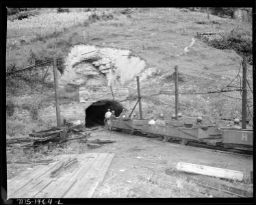 The mantrip going into the mine. Gilliam Coal and Coke Co, Giliam Mine, Gilliam, McDowell County, West Virginia. - NARA - 540804