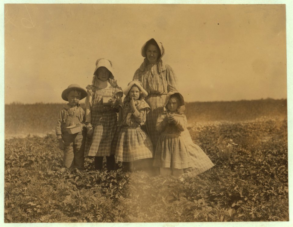 The McNadd family on Truitt's farm at Cannon, Del. Oscar who is 7 years of age is picking berries his third season, averaging 34 quarts per day. Eve, 11 years of age, is picking berries her LOC nclc.00098