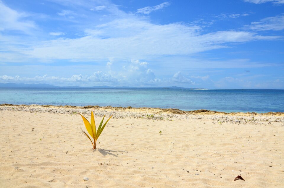 Fiji beach Free photos
