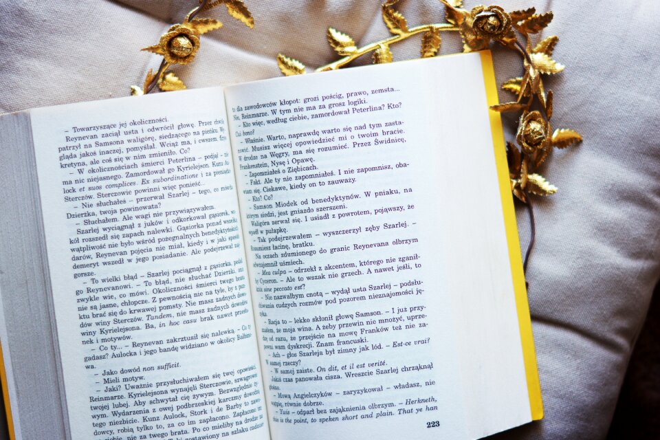 Lying reading entertainment