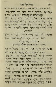 The National Library of Israel - The Daily Prayers translated from Hebrew to Marathi 1389004 2340601-10-0516 WEB