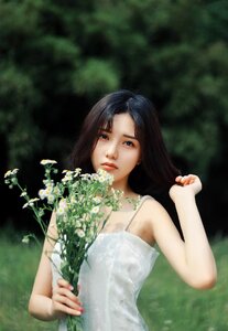 Flower wind vietnam