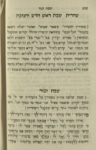 The National Library of Israel - The Daily Prayers translated from Hebrew to Marathi 1389126 2340601-10-0638 WEB