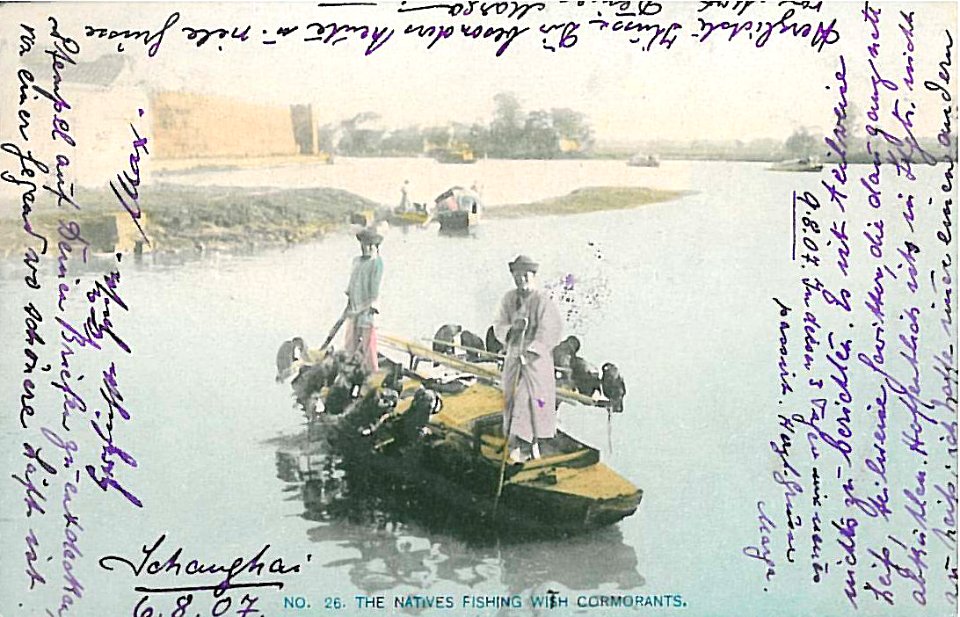 The natives Fishing with Cormorants Shanghai 1907