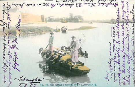 The natives Fishing with Cormorants Shanghai 1907 photo